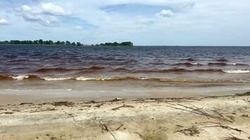 Wild beach. The mesmerizing beauty of pristine nature. Movement of a water wave along a river with a sandy beach, landscape with blue sky. Beautiful natural background. video