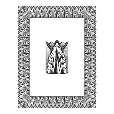 Vintage floral classic calligraphic retro vignette scroll frames ornamental design elements black and color set isolated vector