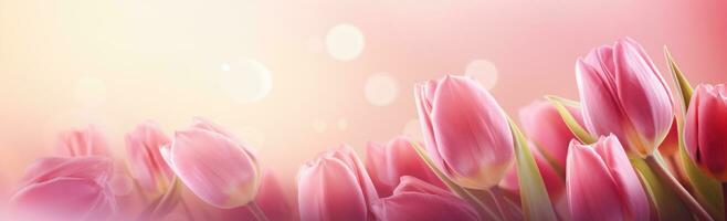 AI generated tulips on an elegant pink background with soft light photo