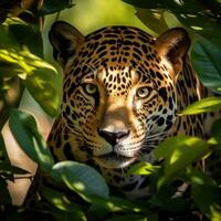 ai generado un hermosa y elusivo jaguar compañeros fuera desde detrás un árbol foto