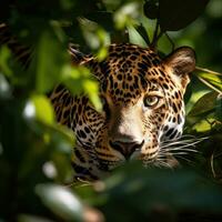 ai generado un hermosa y elusivo jaguar compañeros fuera desde detrás un árbol foto