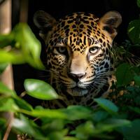 ai generado un hermosa y elusivo jaguar compañeros fuera desde detrás un árbol foto