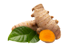 Turmeric PNG Image on transparent background