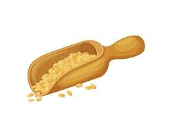 Wheat. Wheat grains in a wooden scoop. A large wooden scoop with wheat grains. Vector illustration isolated on a white background