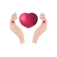 Women s hands with a heart. A red heart in women s palms. A heart warmed by the warmth of women s hands. Romantic vector illustration isolated on a white background