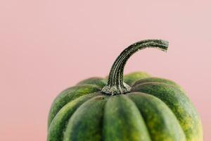 Pumpkin isolated on pink background. Close up of green pumpkin photo