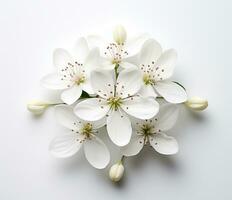 AI generated white flowers inside of an eight shape photo