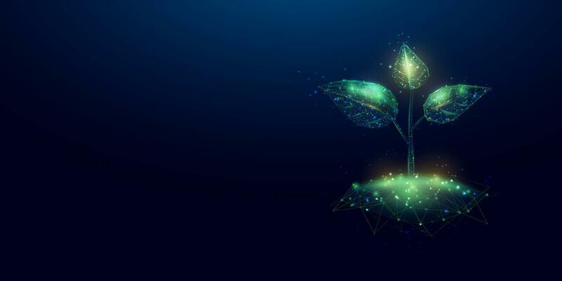 Plant sprout. Growing plant in low poly wireframe style. Abstract modern 3d vector illustration on dark blue background.