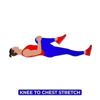 Vector Man Doing Single Knee to Chest Glute Stretch. An Educational Illustration On A White Background.