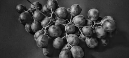 Black and white photo with an abstract photo concept for the background, Portrait a sprig of grapes or vitis vinifera.