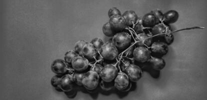 Black and white photo with an abstract photo concept for the background, Portrait a sprig of grapes or vitis vinifera.