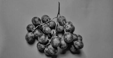 Black and white photo with an abstract photo concept for the background, Portrait a sprig of grapes or vitis vinifera.