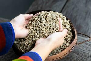 Green Coffee beans, farmer's hand holding dry coffee beans, agricultural and industrial concept. photo