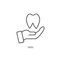 Tooth concept line icon. Simple element illustration. Tooth concept outline symbol design. vector