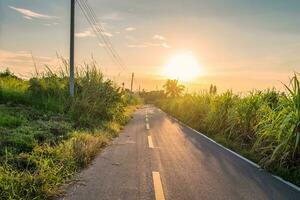 rural la carretera y azúcar caña a puesta de sol foto