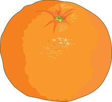 naranja aislada sobre fondo blanco vector