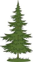 Pine tree isolated on white background vector