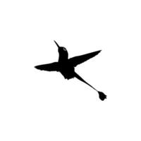 Flying Hummingbird Silhouette, can use Art Illustration, Website, Logo Gram, Pictogram or Graphic Design Element. Vector Illustration