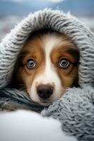 AI generated pet dog peeks out from under a cozy knit blanket, with a snowy landscape visible in the background photo