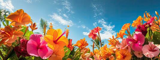 ai generado vistoso verano flores y hojas foto