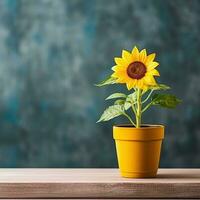 AI generated One sunflower plant in a pot on tabletop blurred background. photo