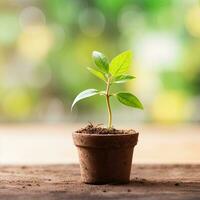 AI generated seedling in a pot on a tabletop blurred background photo