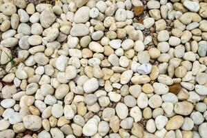 Natural round pebbles stone background photo