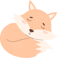Cute sleeping  fox png