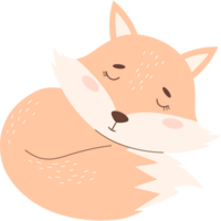 linda dormido zorro png