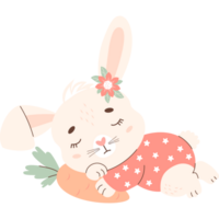 Cute sleeping animal bunny with carrot png