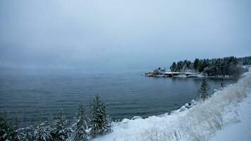 AI generated Misty Winter Shoreline Solitude Scene photo