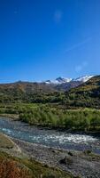 ai generado otoño serenidad río fluir con Nevado picos foto