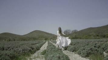 Rear view of a woman in white dress running in the field. Action. Running bride along farm fields on a summer day. photo