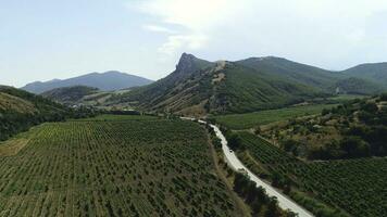 aéreo ver de el la carretera con tráfico Entre el verde granja campos y montañas cubierto con césped en contra el azul cielo en soleado día. disparo. hermosa verano paisaje foto