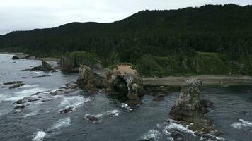 parte superior ver de costa con rock erosión y volador aves. acortar. cinematográfico paisaje con magnífico rocoso costa y arrecifes acantilado con erosión apagado norte costa con volador gaviotas foto