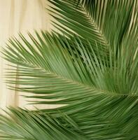 AI generated palm leaves with green leaves, eco-friendly craftsmanship, combining natural photo