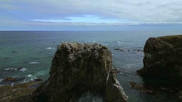 Top view of rocky cliff with seagulls on seascape background. Clip. Seagulls sit on top of rocky cliff in sea. Beautiful rocky cliff on north coast with seagulls on background of sea horizon photo