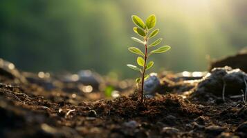 AI generated a young tree sprouting out of a field in the forest photo