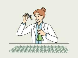 Woman agricultural scientist examines plants in laboratory, selecting new varieties of wheat. Concept of food technologies and use of genetic modification by scientists in selecting to fight hunger vector