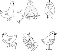 Cute birds hand drawn illustration vector