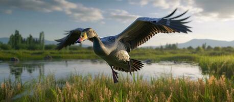 AI generated a goose flying in a field near a river photo