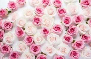AI generated fresh pink roses in a white background photo