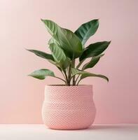 AI generated woven basket with plant on top of a pink pink photo