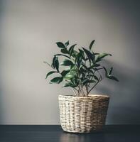 AI generated plant wicker basket plant photo