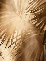 AI generated shadows of palm leaves smily by arturo malmacio, photo