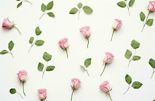 ai generado rosado rosas y hojas en un blanco fondo, foto