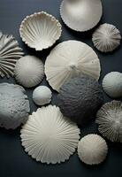 AI generated textured shells on a table are on a grey surface photo