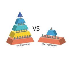 tall and flat organizational structure with wide and small wide spans of control vector