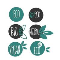 hand drawn doodle eco natural label illustration vector