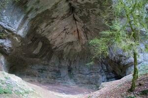 a large cave with a tree in the middle photo